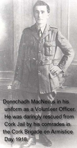 Donnchadh MacNeilus, Voluteer Officer, Cork Brigade